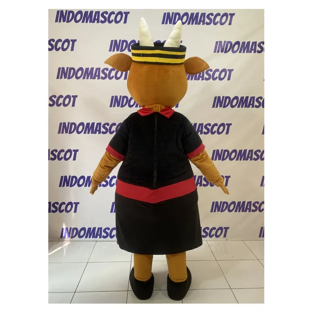 Tampak Belakang