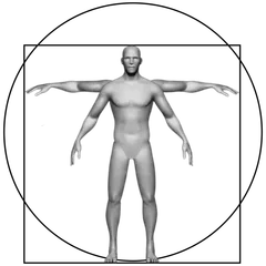 Proportional Human Body Guide